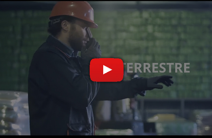 Marketing de contenido - leolopez.cl