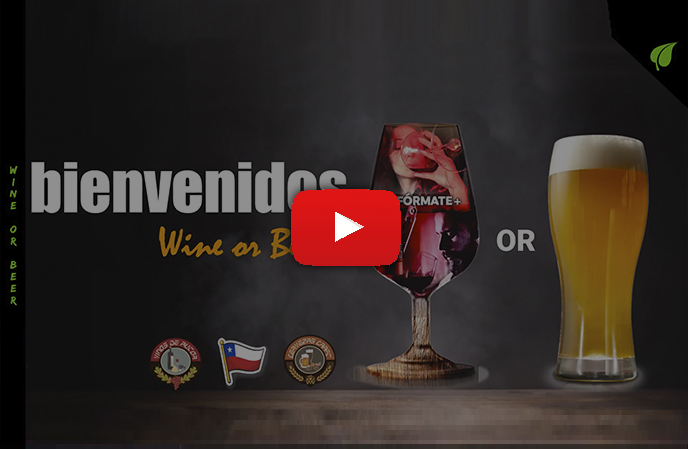 Marketing de contenido - leolopez.cl