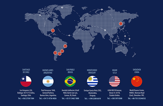 Marketing de contenido - leolopez.cl