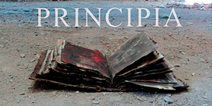 Marketing de contenido - leolopez.cl